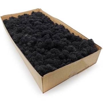 Mech chrobotek fiński 500g