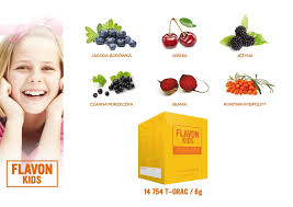 Флавон KIDS 240 мл ИММУНИТЕТ Витамины