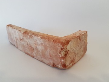 ИСТОРИЧЕСКАЯ КИРПИЧНАЯ ПЛИТКА, СТАРЫЙ КИРПИЧ, 19 ВЕК!