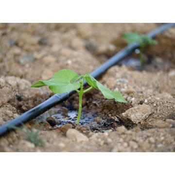 КОМПЛЕКТ ДЛЯ ОРОШЕНИЯ Капельная линия 100м 182 шт. ГИДРАТАЦИЯ + ТАЙМЕР