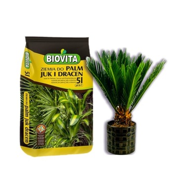 Ziemia do PALM - Cykas, Chamedora BIOVITA 5L