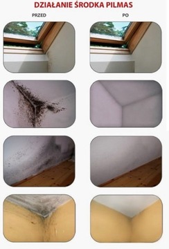 PILMAS 5L ЖИДКОСТЬ ДЛЯ УДАЛЕНИЯ ПЛЕСЕНИ И ГРИБКА