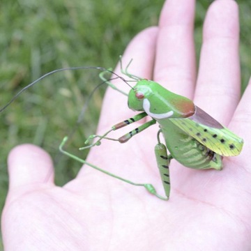 5 глиняных фигурок Katydid, газон для холодильника