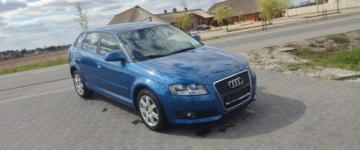 Audi A3 8P Hatchback 3d 1.9 TDI 105KM 2009 Audi A3 Sportback 1.9 TDI ,BEZWYPADEK,zadbany 1.9 Diesel 105KM, zdjęcie 7