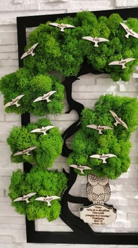 Бонсай дерево мох конец года птицы сова день учителя 37х24