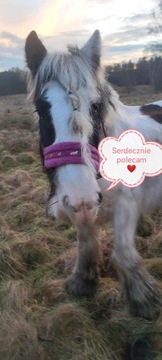 HORSE LEADING York HELIX BLACK - GREY HS карабин поворотный 2м