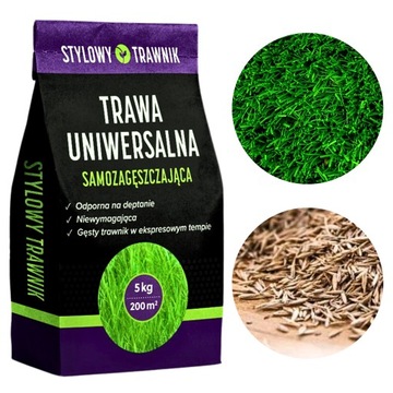 TRAWA UNIWERSALNA Zagęszczająca nasiona 25kg1000m2