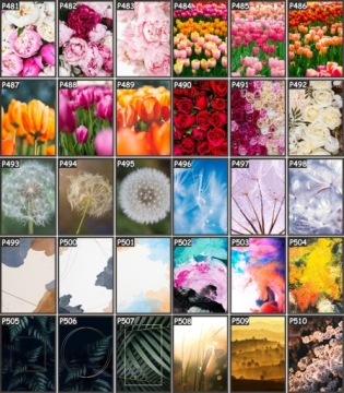 КАРТИНА-постер 70х50 для гостиной ТРАВА БОХО ПРИРОДА - ПОДБОР УЗОРОВ