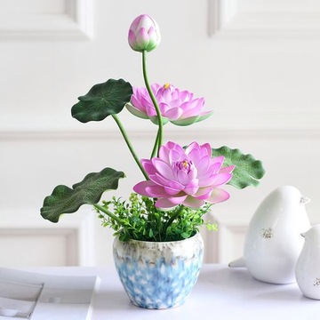 100 Nasion Lotosu Mini Non GMO Nasion Lotosu Bonsai Do Ogrodu