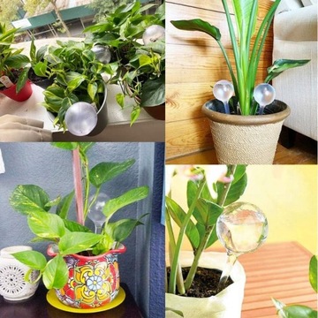 10x KULE NAWADNIAJĄCE DO KWIATÓW ROŚLIN DOZOWNIK WODY DO PODLEWANIA DOMOWY