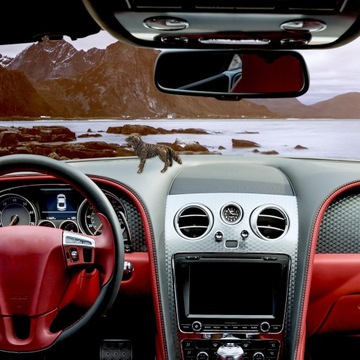 КОЛЛЕКЦИОНЕР ЛАТУННЫХ МЕТАЛЛИЧЕСКИХ УКРАШЕНИЙ ДЛЯ ДОМАШНЕГО ИСКУССТВА