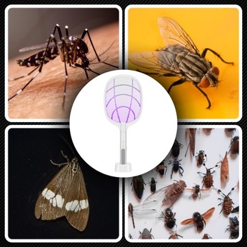 ЗАМЕНА ЭЛЕКТРИЧЕСКИМ МУХОЙ, УДАЛЕНИЕ НАСЕКОМЫХ, КОМАРЫ, ПОРАЖЕНИЕ ЭЛЕКТРИЧЕСКИМ ТОКОМ, ИНСЕКТИЦИДНЫЕ СРЕДСТВА