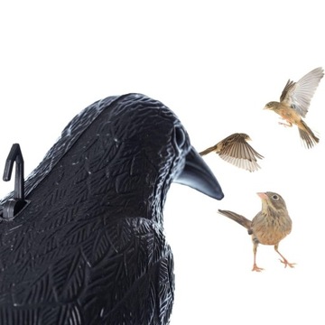 БОЛЬШОЙ СЫРЬЕ, ГОЛУБЬ, ОТПУСКАТЕЛЬ ПТИЦ, Отпугиватель птиц, ЗАПАСНИКИ, ГОЛУБИ, НАЧИНКИ