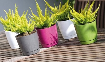 круглый белый цветочный горшок 15,5 см с подставкой COUBI DOOP