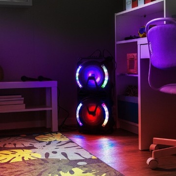 Караоке-колонка LIVE 280 (P)