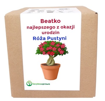 Ekologiczny prezent zestaw uprawa urodziny Beatka