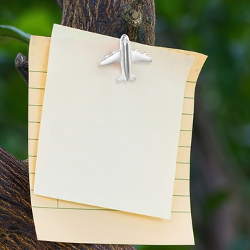 30 металлических булавок в форме самолёта.