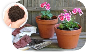 Цветы Субстраль Шторм Осмокот + грунт для балконных пеларгоний Сурфиналии