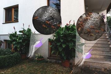 ПОРОШКОВЫЙ СРЕДСТВЕННЫЙ ПРЕПАРАТ ОТ МУРАВЬЕВ, РЫБ, РЫБ, ТАРАКАН, КЛОЩОВ, КЛОПОВ ЭФФЕКТ