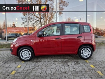 Fiat Panda III 2025 Fiat Panda Pandina Icon 1.0 70 KM 5-miejscowa, zdjęcie 3