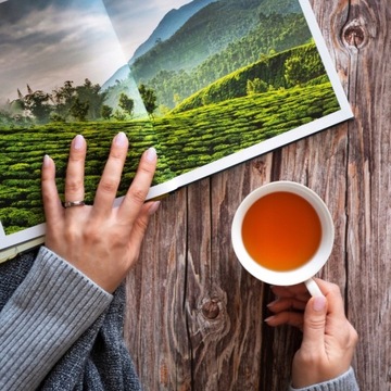 Чай Basilur EARL GREY Черный цейлонский БЕРГАМОТКА экспресс - 25 х 2 г