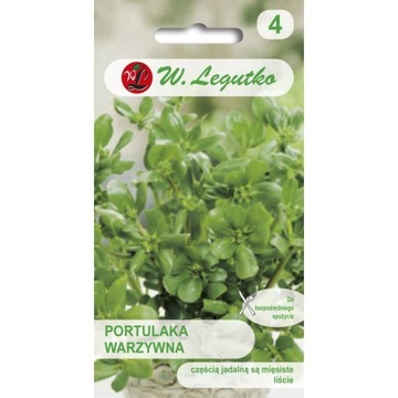 Portulaka warzywna nasiona Legutko 0,5g