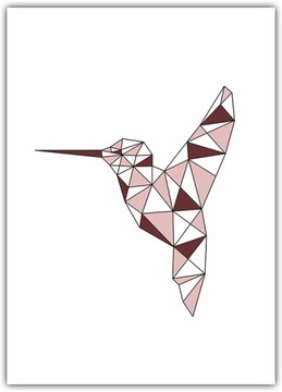 Plakat Koliber 41x59 grafika do ramy Poster obrazek