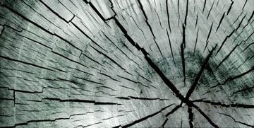 J.Fenzi Day & Night Rays 100 мл ДУХИ Новинка