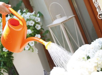 ЛЕЙКА 2Л + СИТНО ДЛЯ ПОЛИВА РАСТЕНИЙ И ЦВЕТОВ БАЛКОН ДОМАШНИЙ САД СВЕТ ПОЛЬША