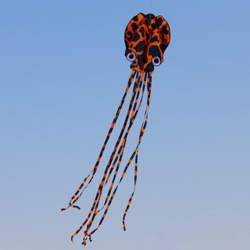 Огромный красочный воздушный змей с 30-метровой линией для полета.