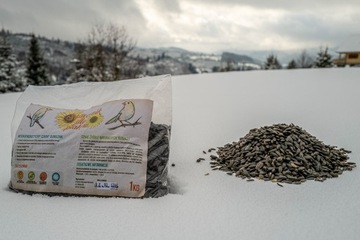 POKARM KARMA DLA PTAKÓW SIKOREK KACZEK WRÓBLI ZDROWY CZARNY SŁONECZNIK 5KG