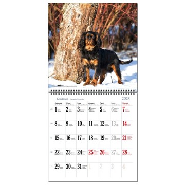 Календарь 2025 стена Большая 30 х 60 см 13 плат