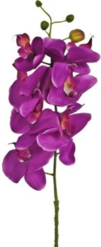 ОРХИДЕЯ ВЕТКА ОРХИДЕИ С 7 ЦВЕТАМИ 78см