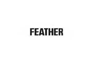 Лезвия для бритвы Feather Hi-Stainless 25 шт.