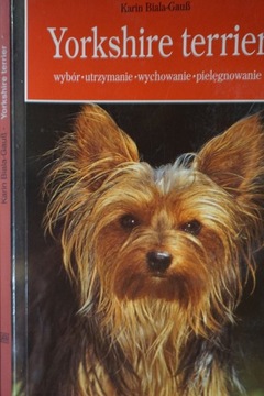 YORKSHIRE TERRIER KARIN BIALA-GAUSS
