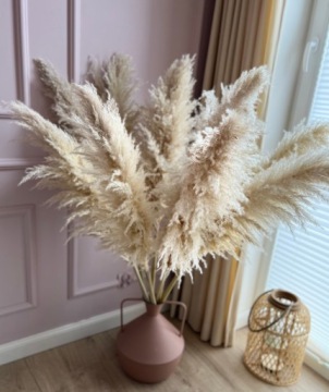 Пампасная трава сушеная Premium Lux XL бежевая 140 см для вазы Сухие травы