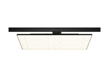Paulmann Panel 3-fazowy ProRail3 DECK LED 40W 3000K - czarny