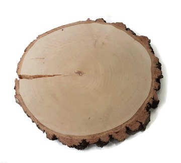 Plastry drewna brzoza POD TALERZE, STROIKI, WESELE