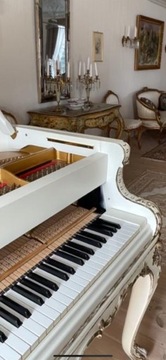 ПЕТРОФ P 173 РОКОКО ФОРТЕПИАНО