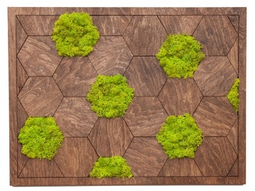 МОСС ХРОБОТЕК ПРЕМИУМ КАРТИННЫЕ ПАНЕЛИ 44x33 подарок