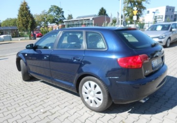 Audi A3 8P Hatchback 3d 1.9 TDI 105KM 2006 Audi A3 Sportback Audi A3 II (8P) sportbag 1.9 Diesel 105KM, zdjęcie 5