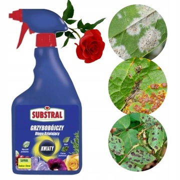 SUBSTRAL Saprol 750ml spray MĄCZNIAK RDZA CZARNA PLAMISTOŚĆ GRZYBOBÓJCZY