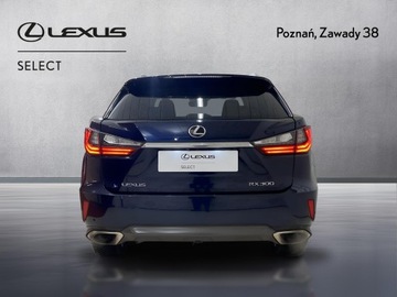 Lexus RX IV SUV 300t 238KM 2019 Lexus RX 200t / 300 Prestige MY19 IV (2015-2020) L, zdjęcie 6
