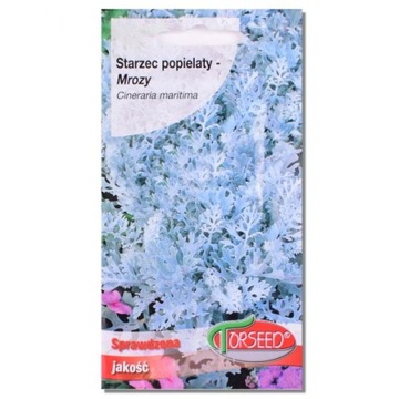 Starzec Popielaty Mrozy Nasiona 0,5g Torseed