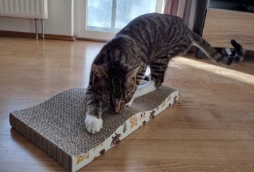 Когтеточка для кошек из картона Catnip WAVE