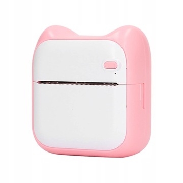 Термопринтер Прямое подключение