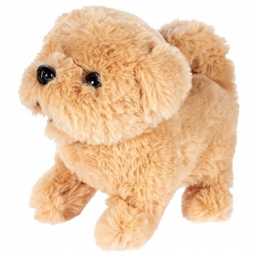 ЩЕНОК, ПЛЮШ ИНТЕРАКТИВ, ПРОГУЛКИ, БАКС, ТАЛИСМАН, БАТАРЕЯ