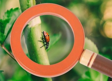 Пояс для инструментов для маленького исследователя Small Foot.