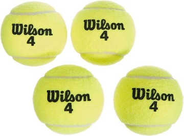 Теннисные мячи Wilson Championship Extra Duty (4 шт)
