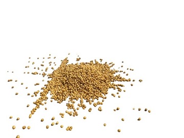 GORCZYCA ŻÓŁTA 25 kg Najtaniej Promocja